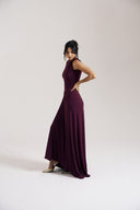 Asymmetric Berry Dress